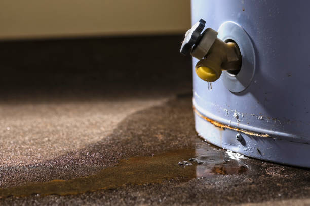 Best Local water damage restoration  in Bossier City, LA