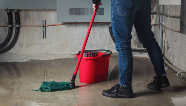 Best Water damage restoration mold remediation  in Bossier City, LA