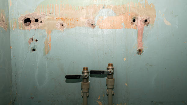 Best Residential water damage restoration  in Bossier City, LA