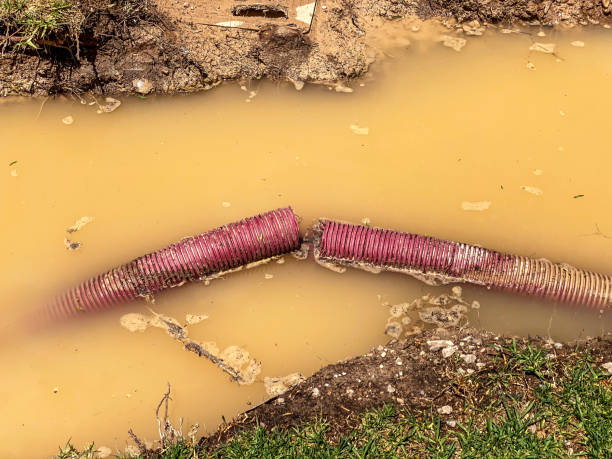 Best Water damage restoration near me  in Bossier City, LA