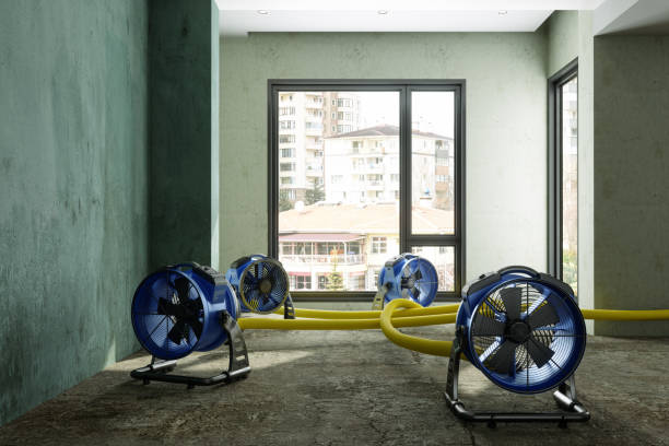 , LA Water damage restoration Company