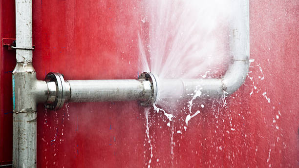 Best Mold removal after water damage  in Bossier City, LA